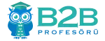 B2B Profesörü
