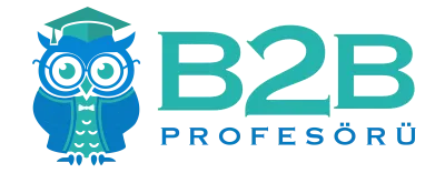B2B Profesörü