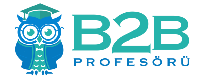 B2B Profesörü